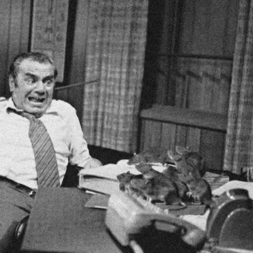 Horse Lung : Rattenkönig